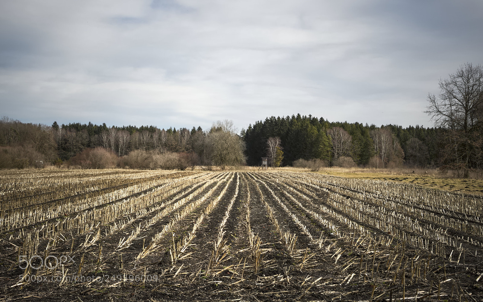 Olympus PEN E-PL5 sample photo. A new beginning photography