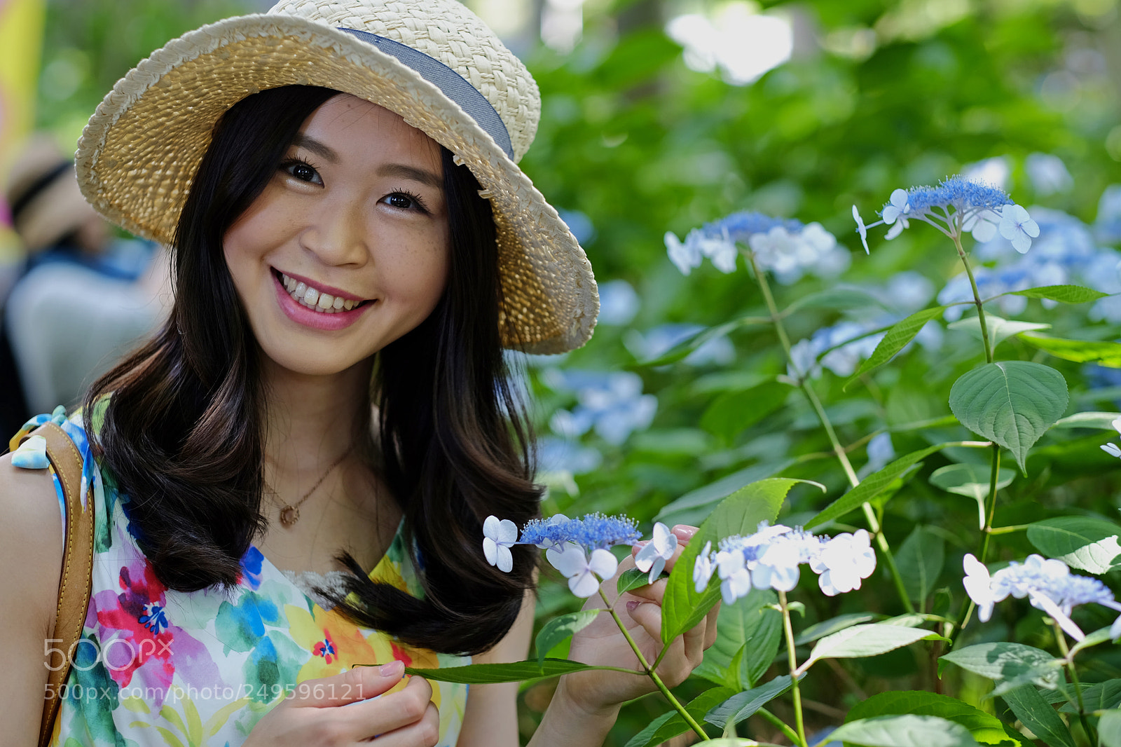 Fujifilm X-T10 sample photo. Hydrangea festival photography