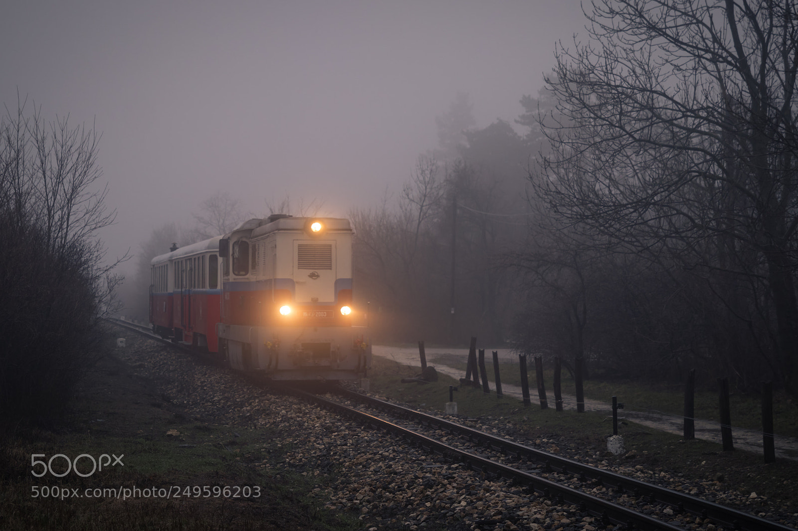 Canon EOS 80D sample photo. Foggy day photography