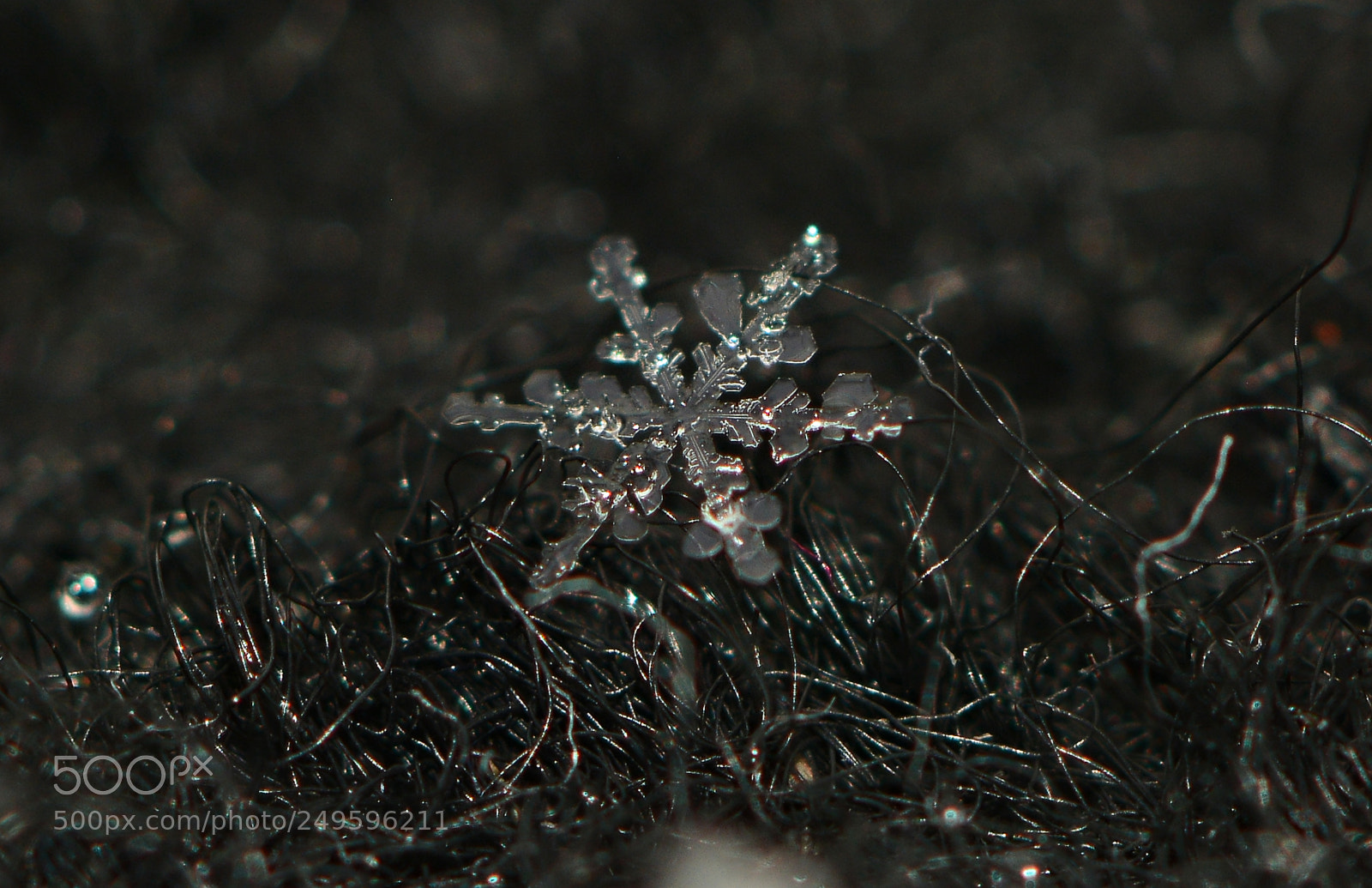 Nikon D7100 sample photo. **snowflake** photography
