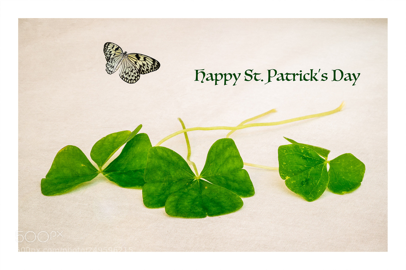 Sony a7R II sample photo. Happy st. patrick's day! photography