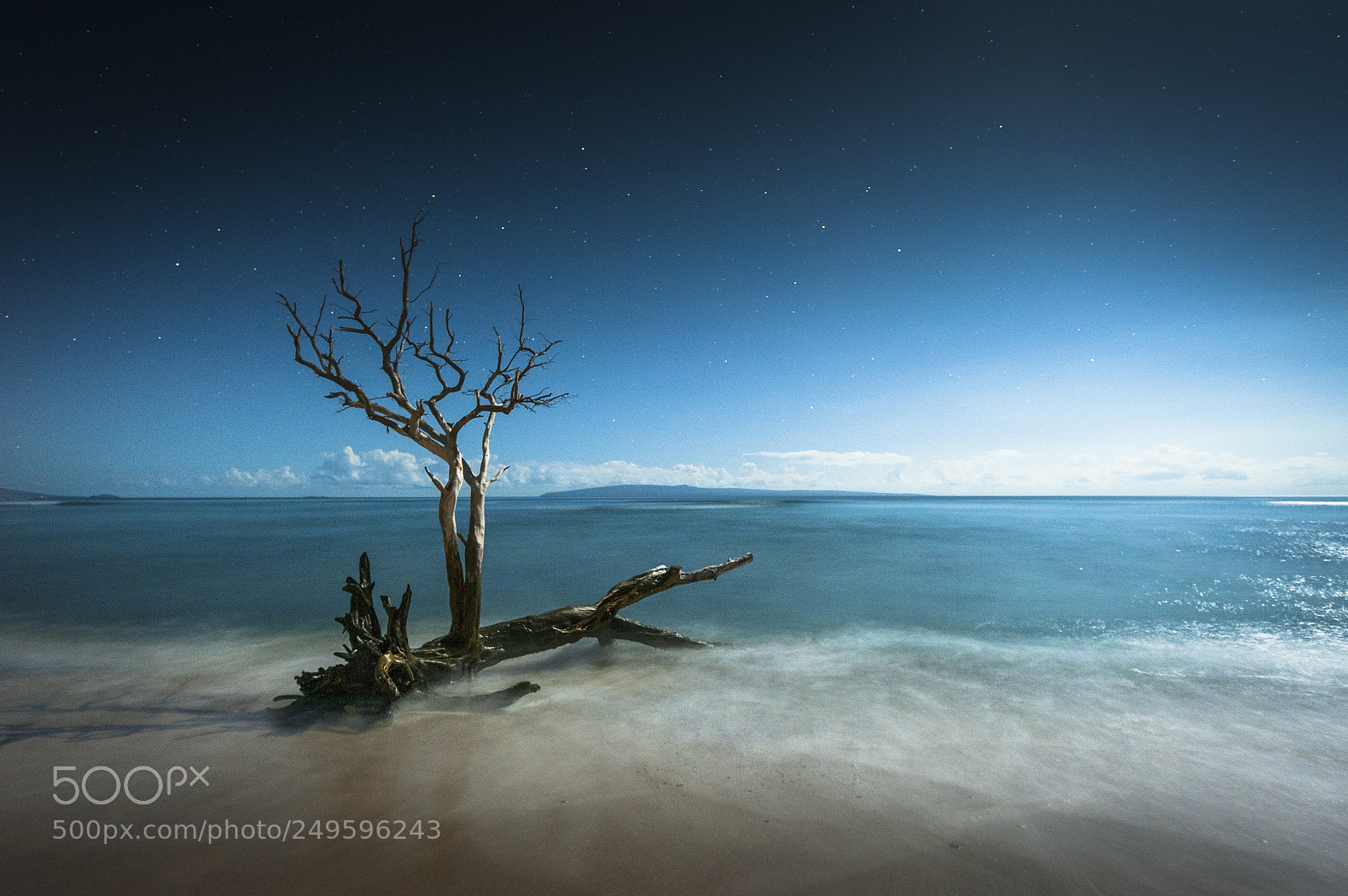 Nikon D700 sample photo. Maui beach tree night photography