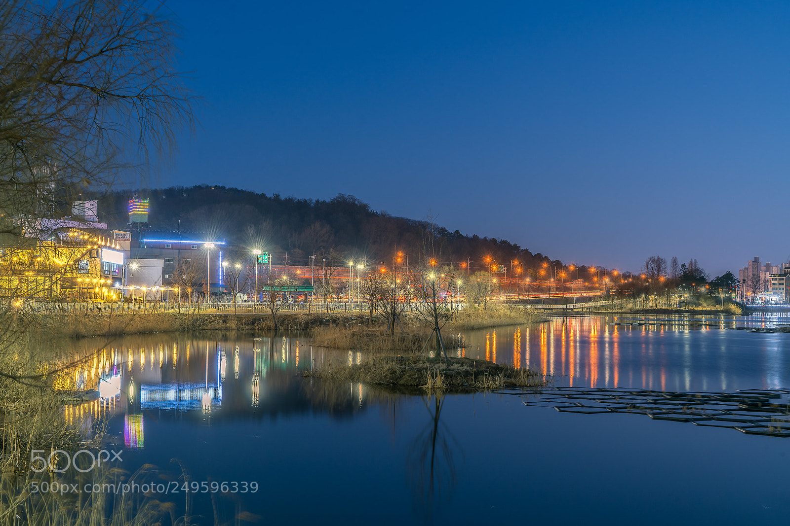 Sony a7R II sample photo. Untitled photography