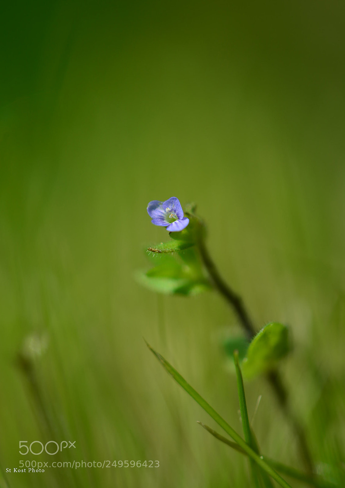 Nikon D5200 sample photo. I’m here to! photography