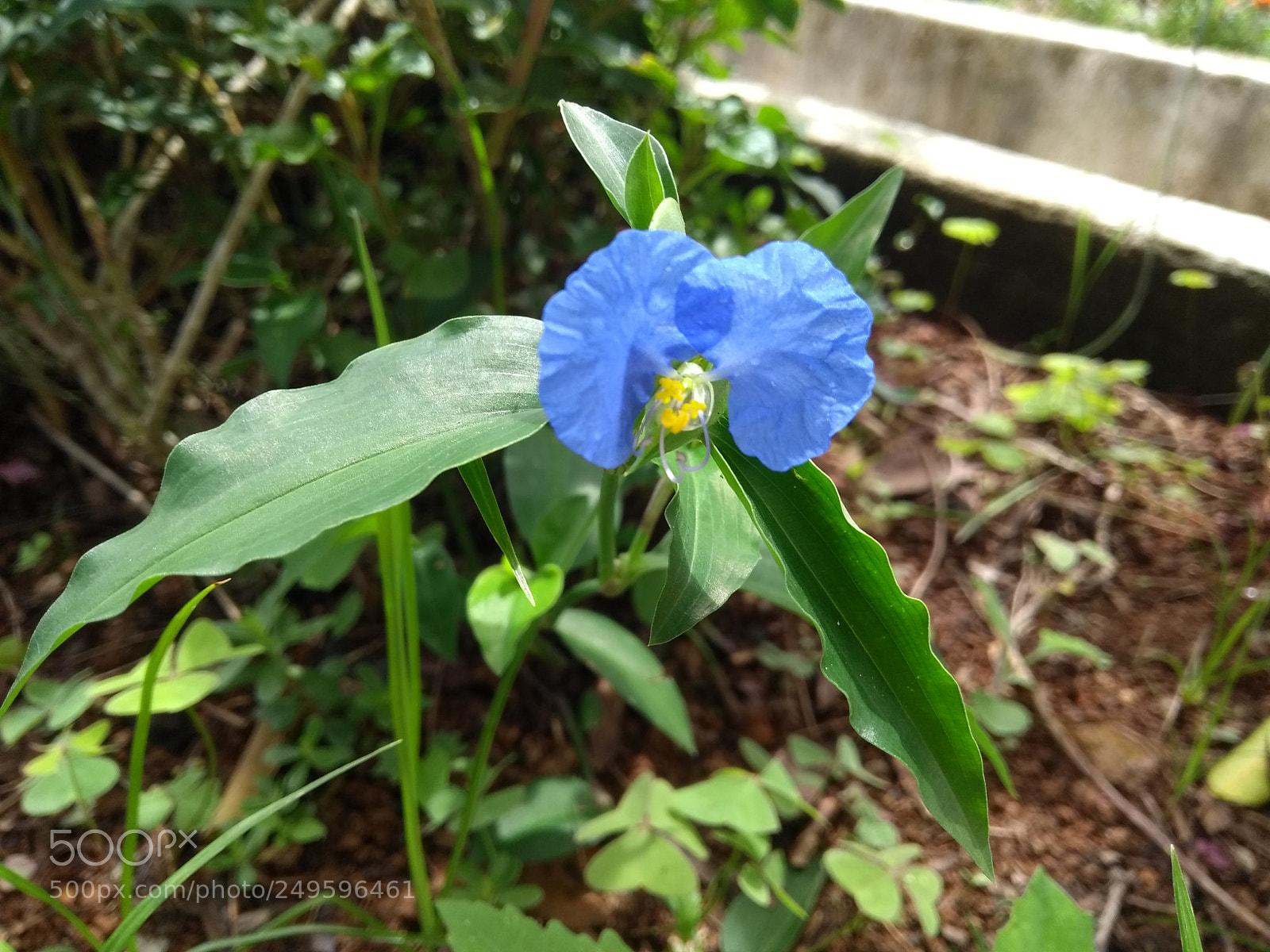 Motorola Moto G (5th Gen) sample photo. Untitled photography
