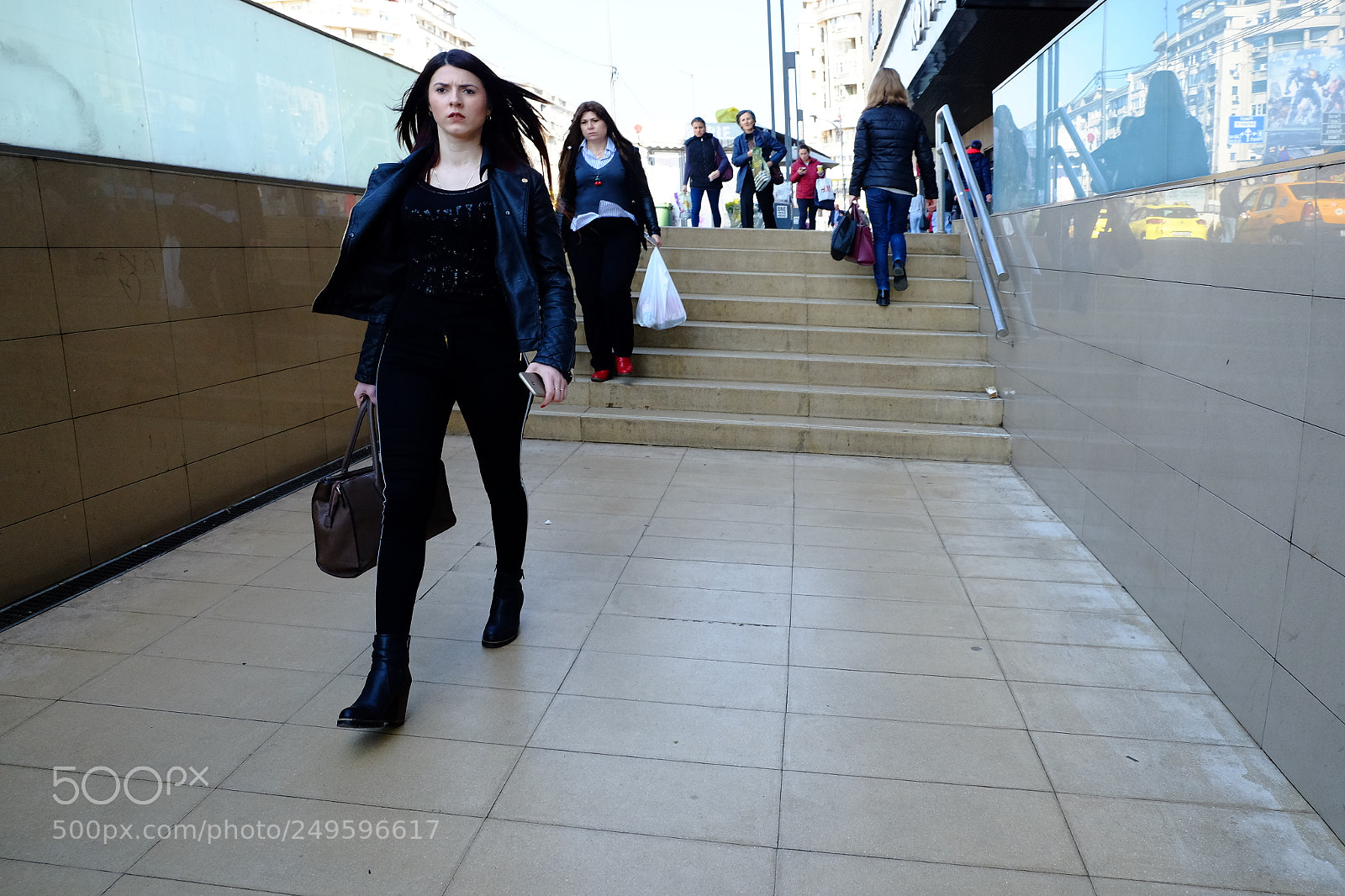 Fujifilm X-E2S sample photo. Wild and tamed photography