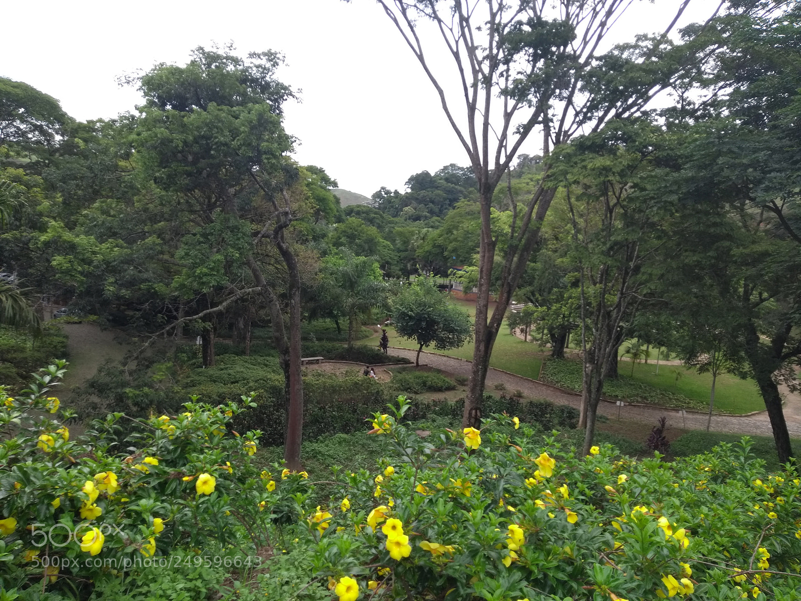 Motorola Moto G (5th Gen) sample photo. Untitled photography