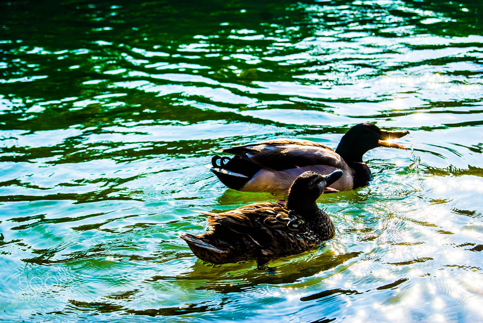 Sony Alpha DSLR-A330 sample photo. Old photo remake photography