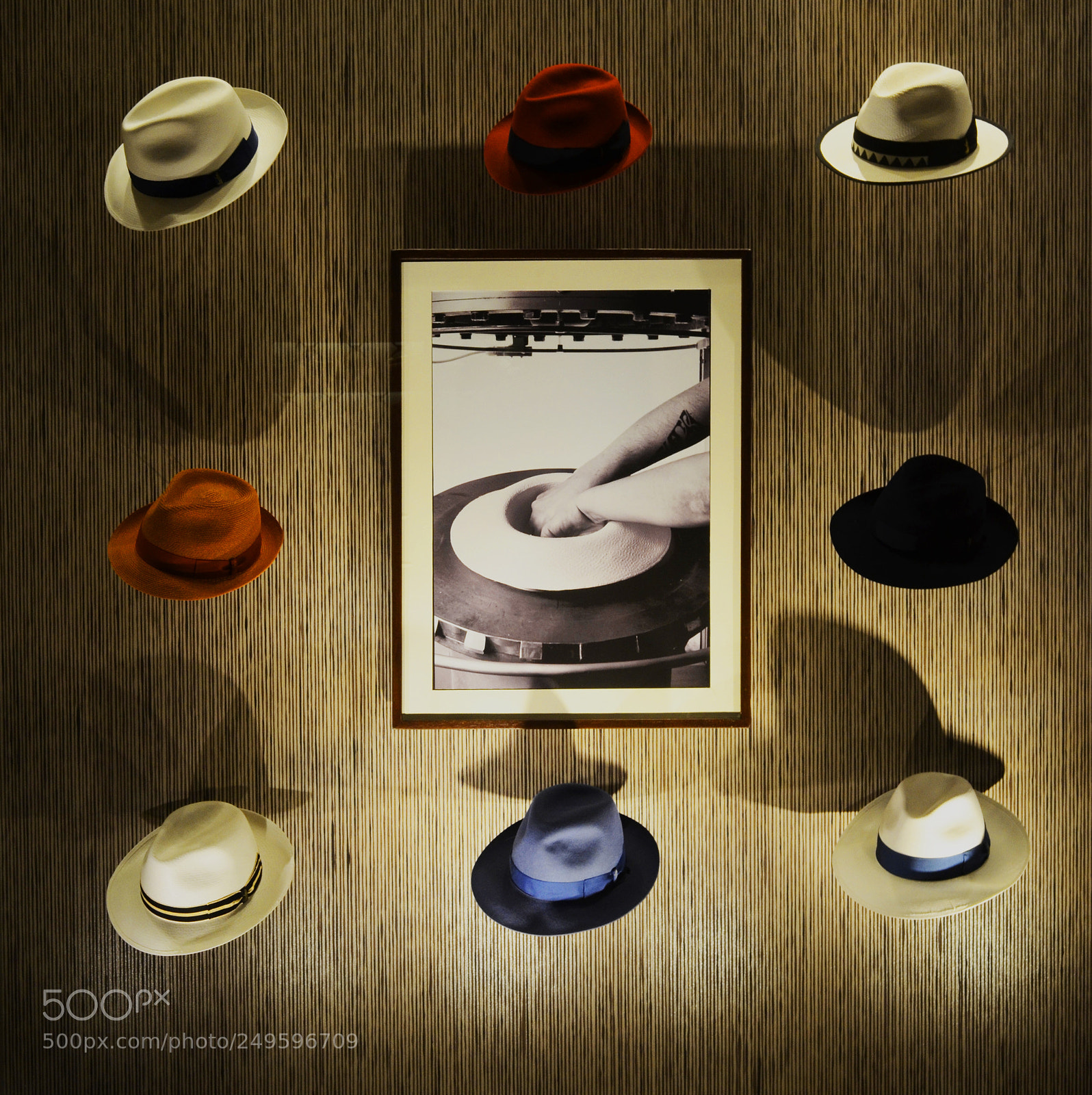Nikon D5100 sample photo. Borsalino photography