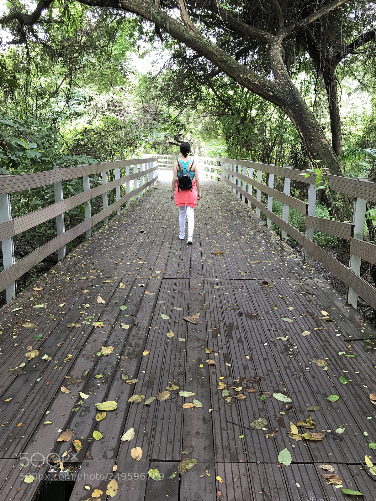 Apple iPhone 7 sample photo. Caminando por el sendero photography