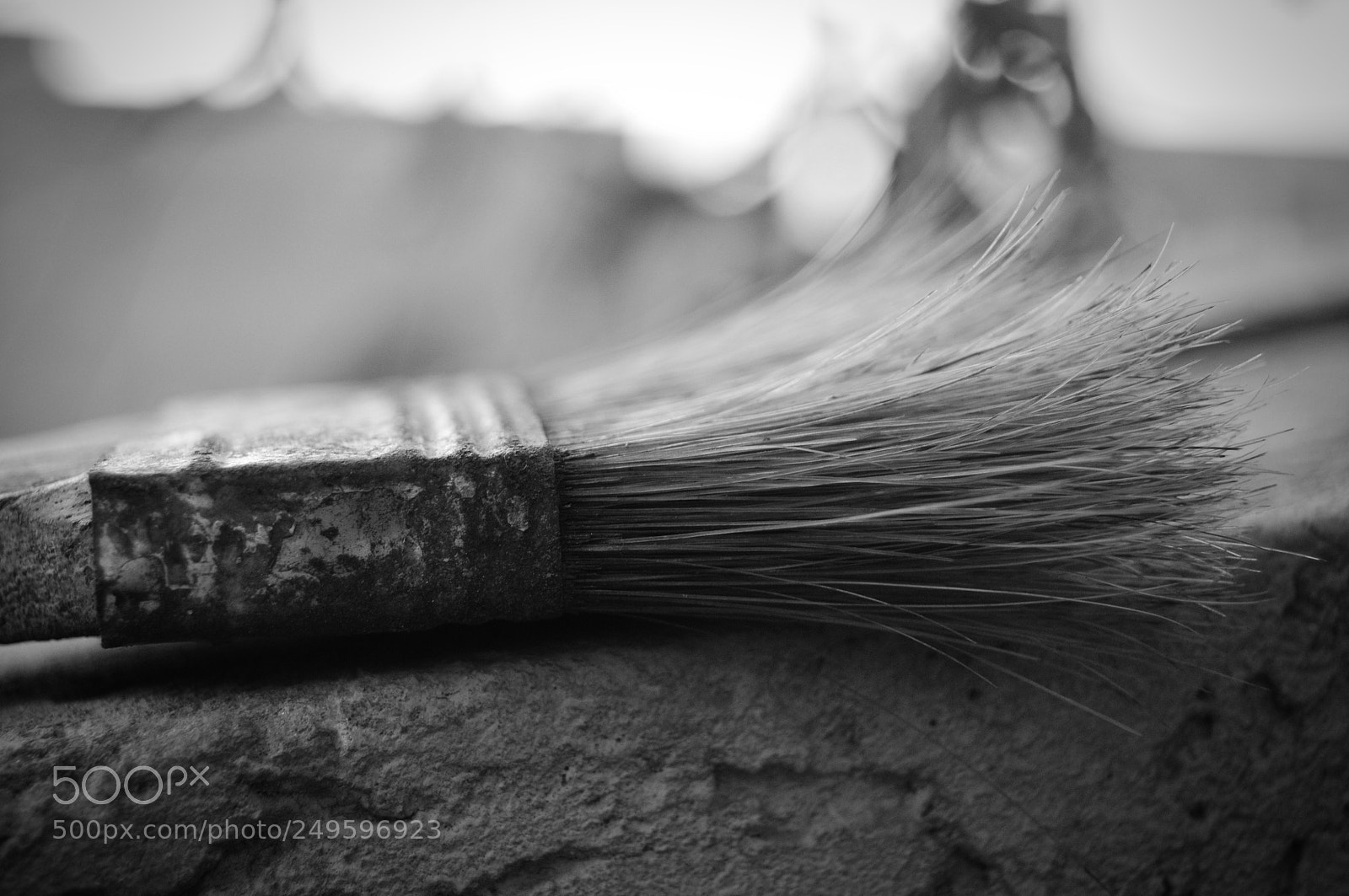 Nikon D300 sample photo. Paint brush photography