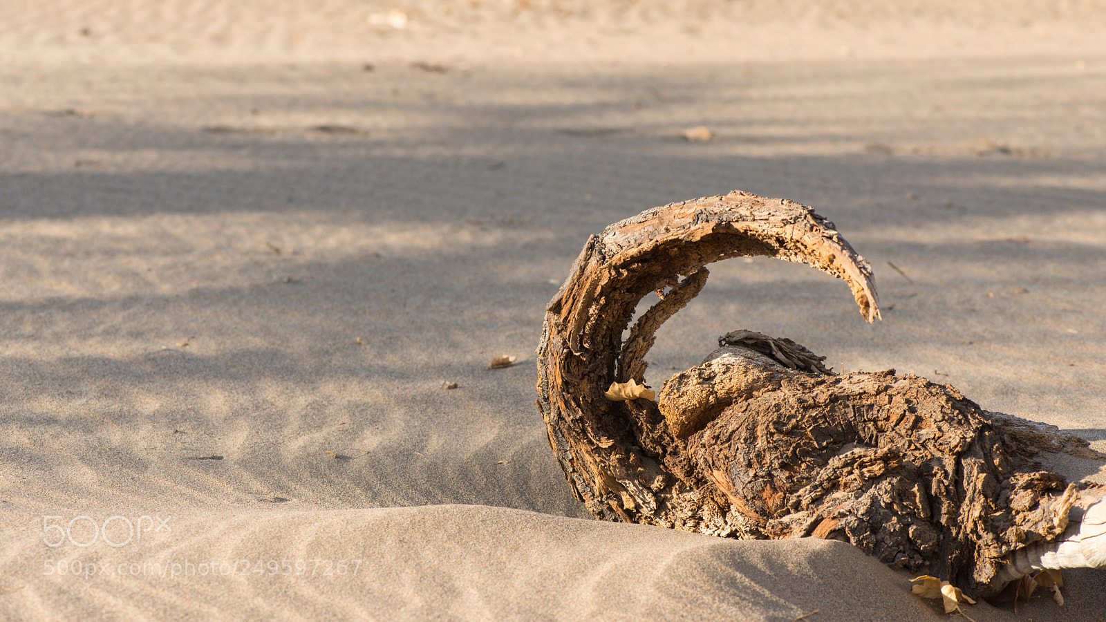 Nikon D800E sample photo. Thousand years of masonry photography