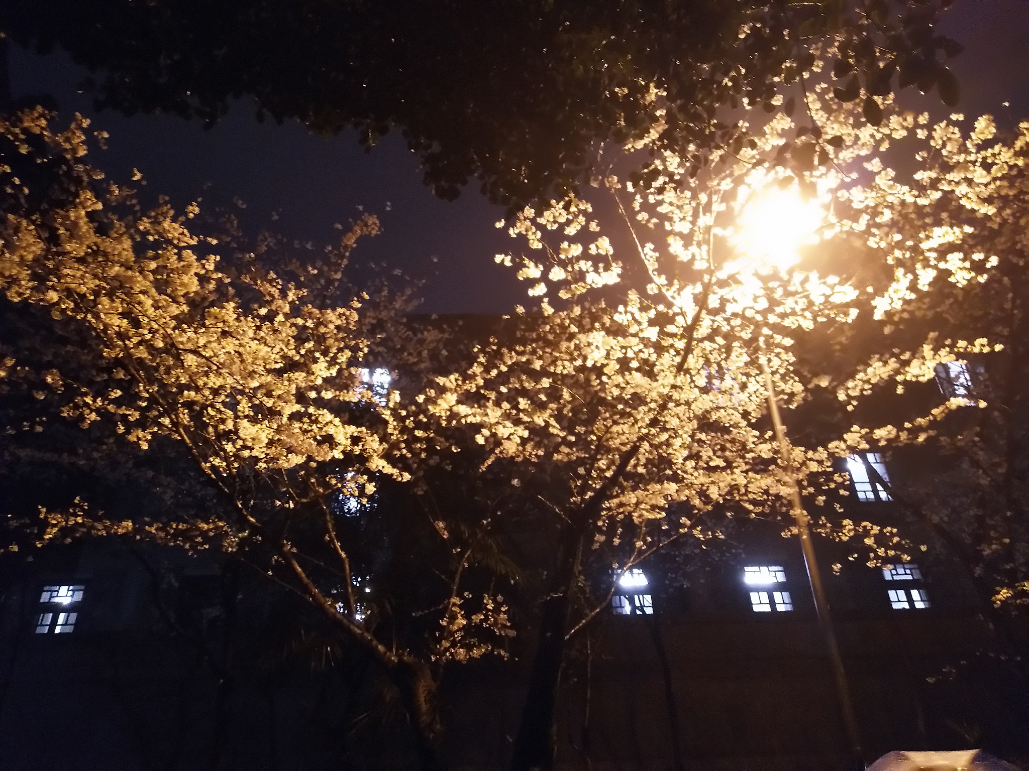 vivo X9 sample photo