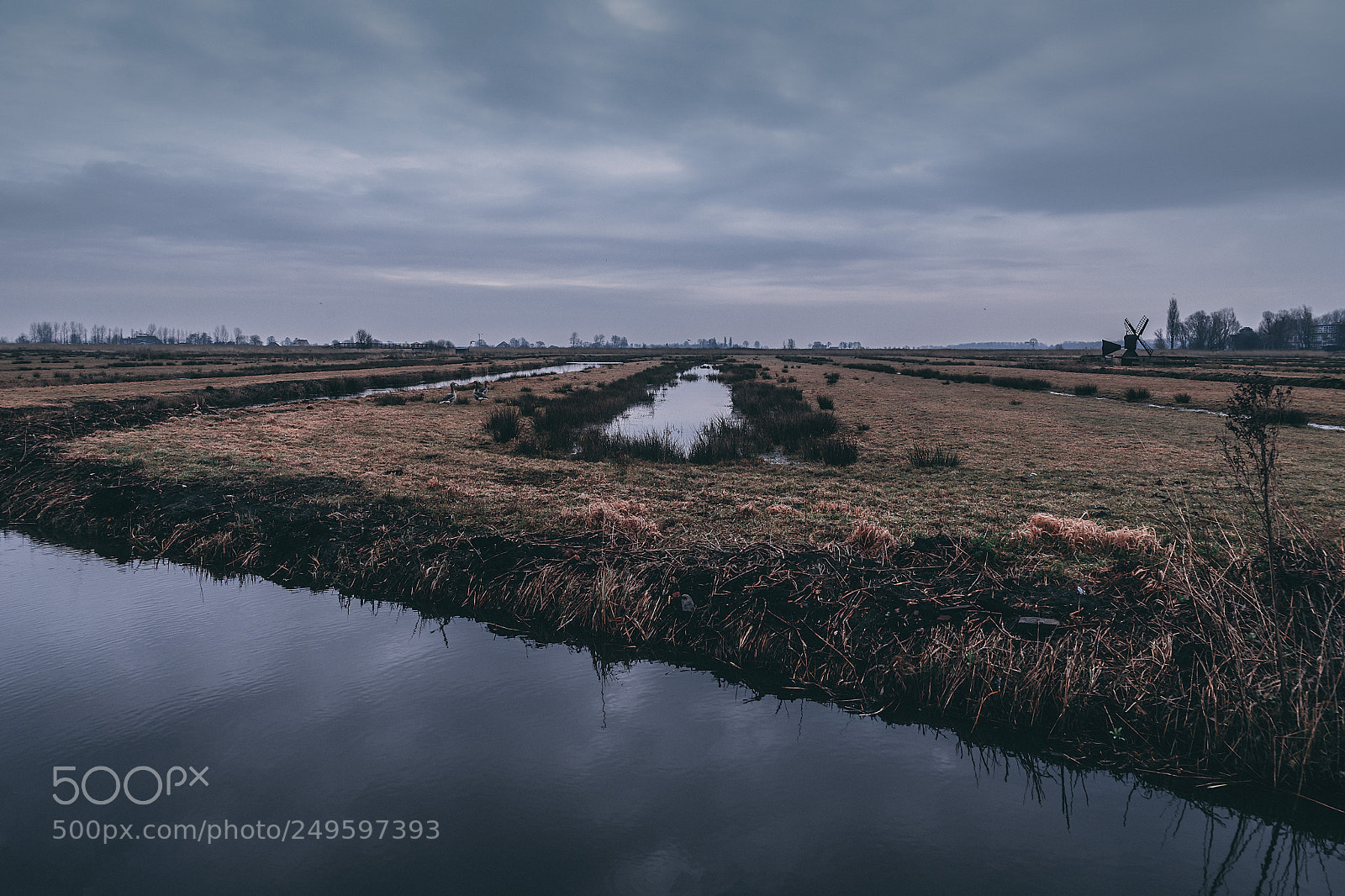 Canon EOS 5D Mark IV sample photo. Grey canals photography
