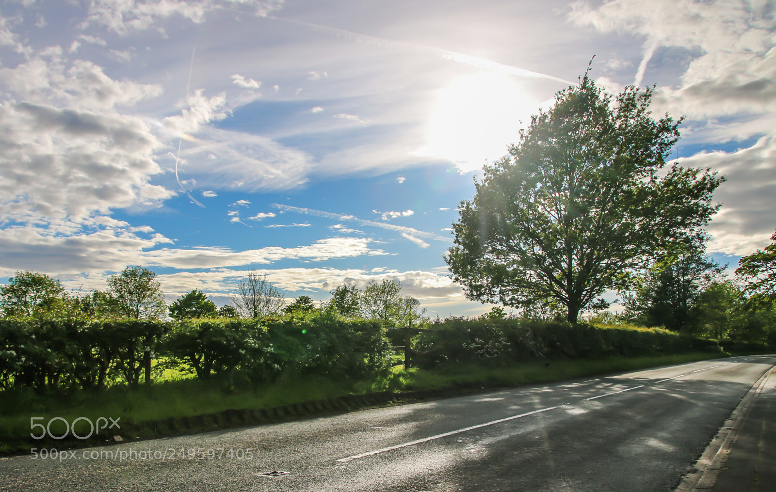 Canon EOS 70D sample photo. Sun over the trees photography