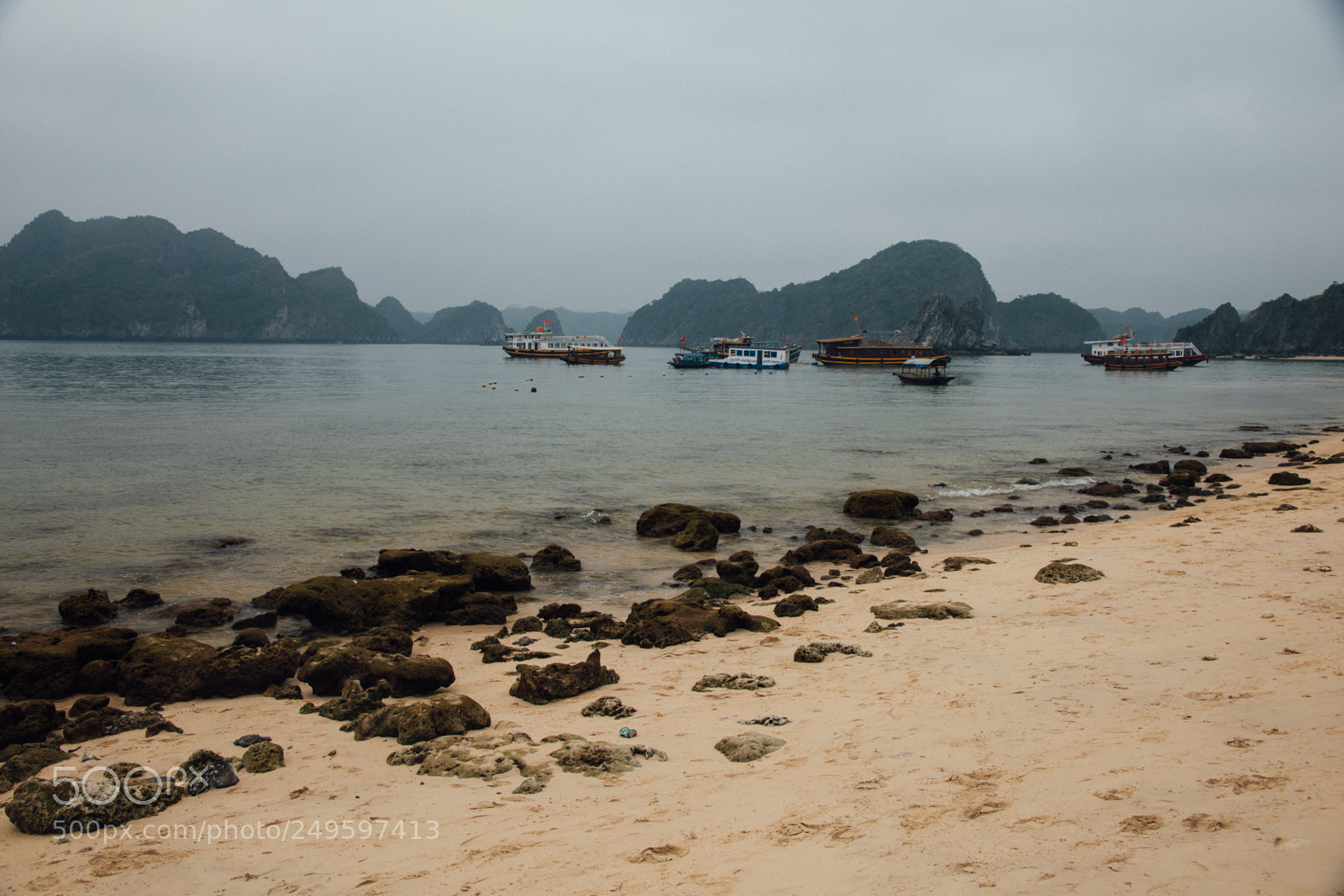 Nikon D7500 sample photo. Monkey island, lan ha photography