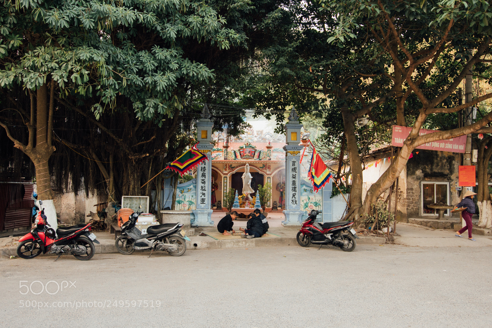 Nikon D7500 sample photo. Cat ba, vietnam photography