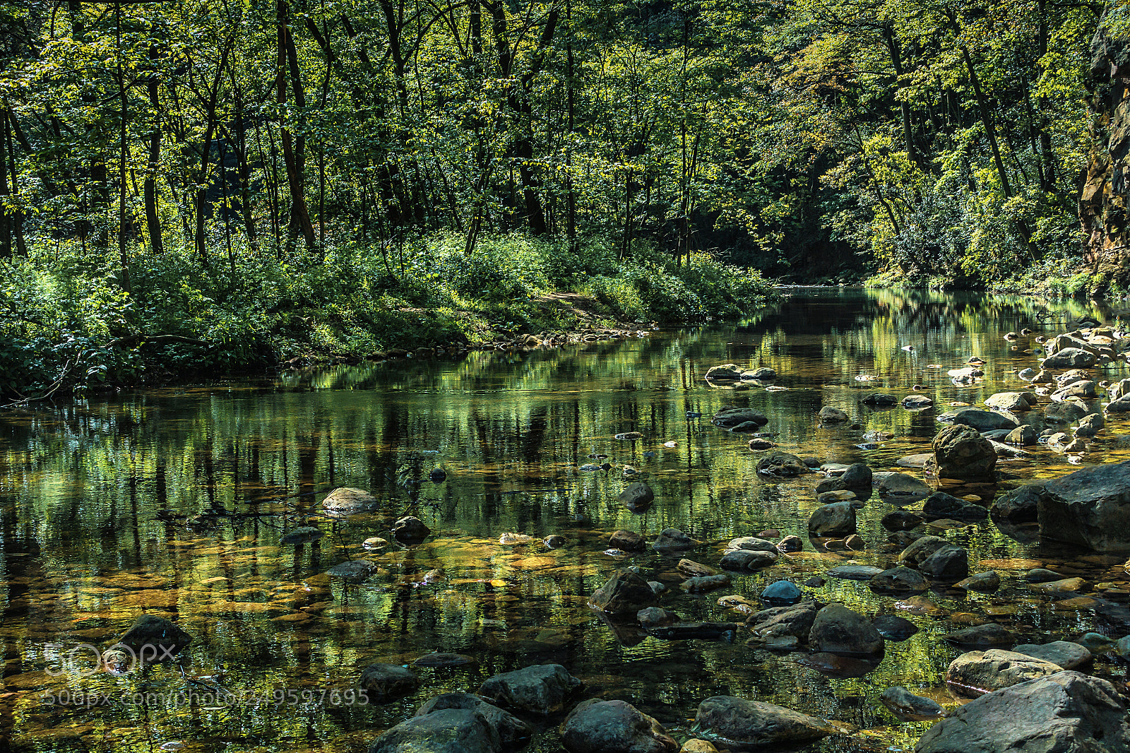 Sony Cyber-shot DSC-RX100 III sample photo. Tranquil mountain forest photography