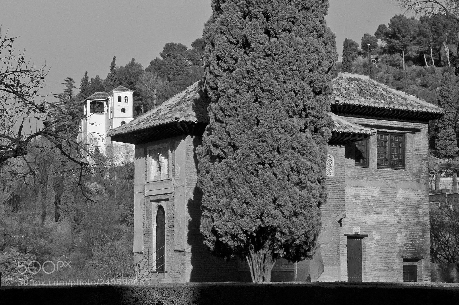 Nikon D7000 sample photo. Alhambra photography