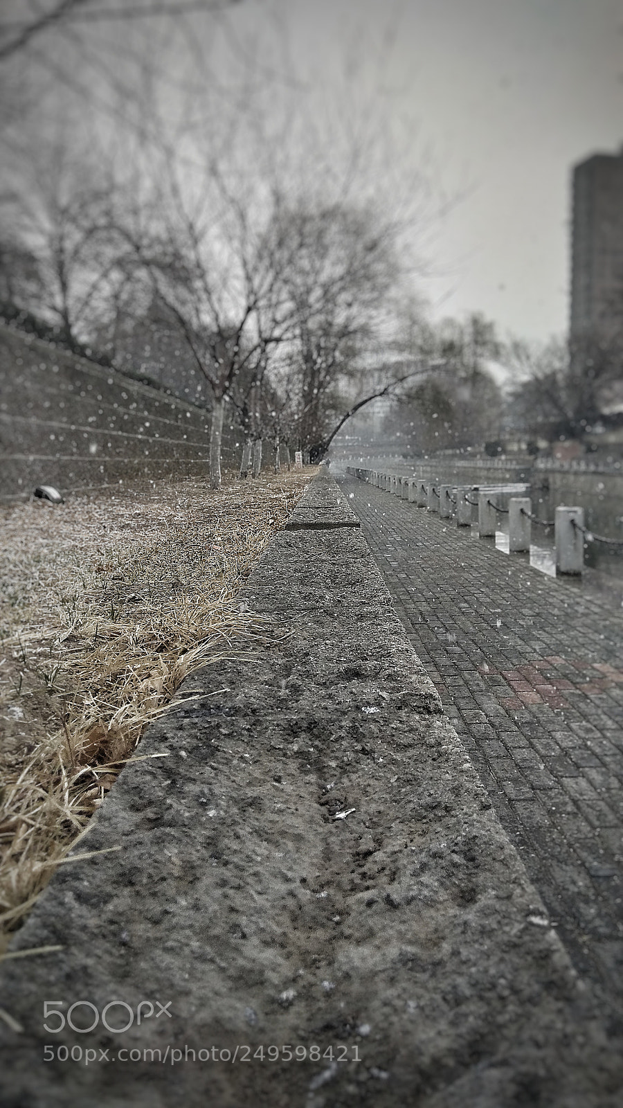 Xiaomi Redmi Note 4X sample photo. 春雪 photography