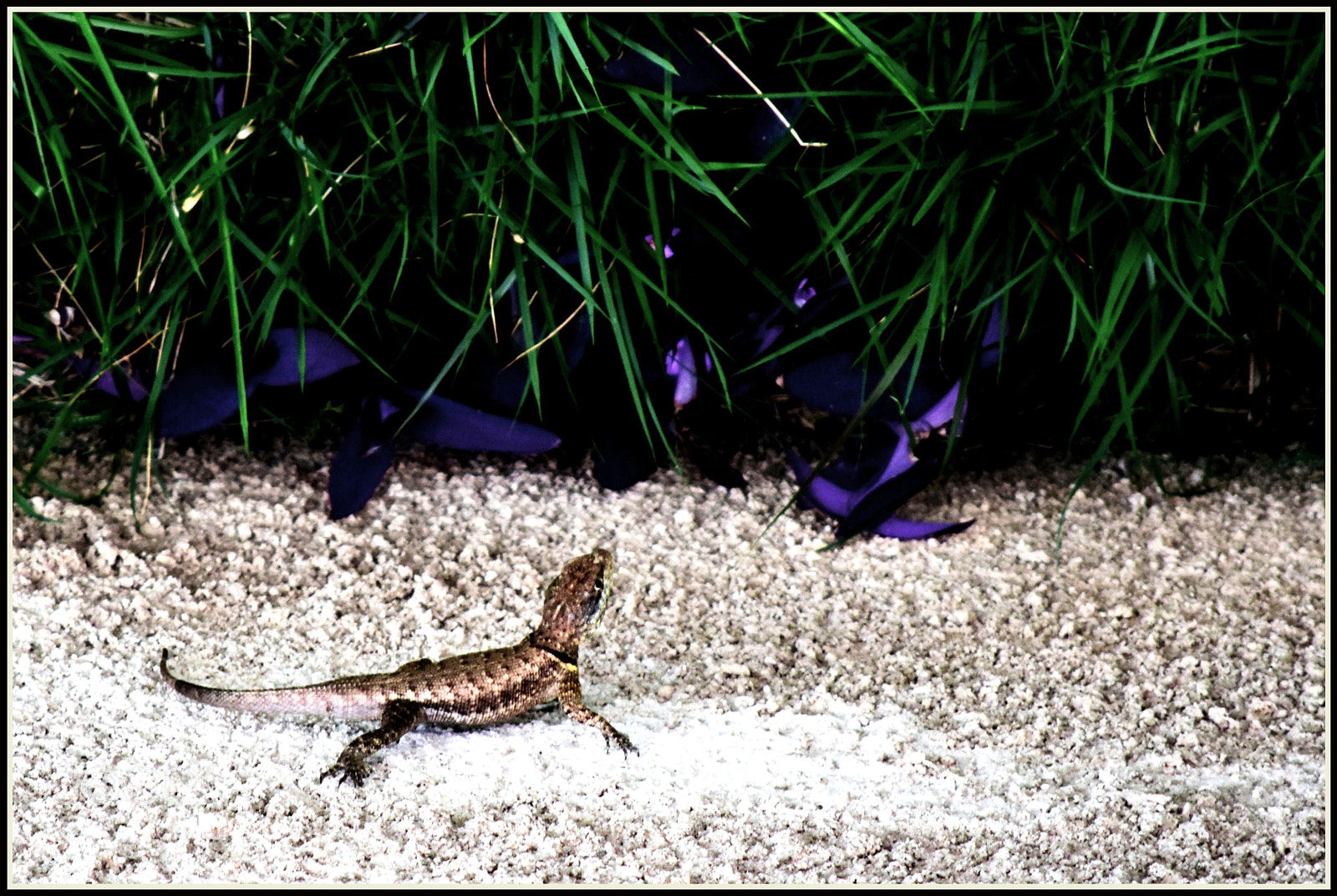 Nikon D5300 sample photo. "bonjututu... ;-)" photography