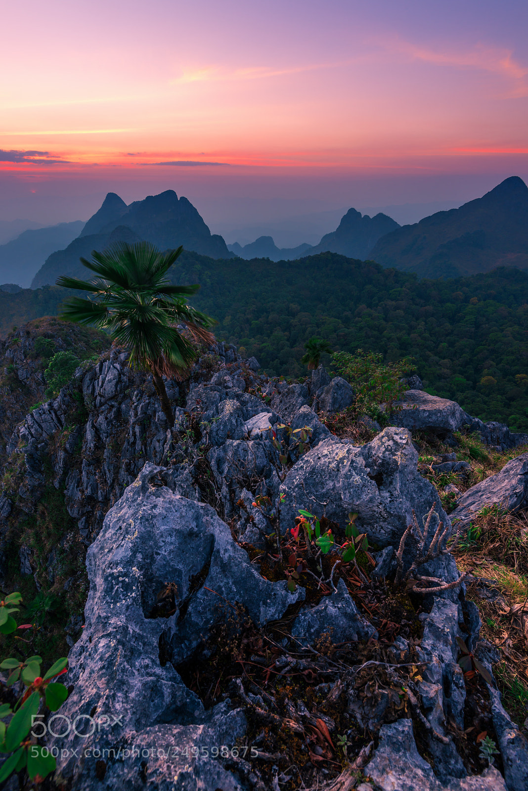 Nikon D600 sample photo. The rock photography