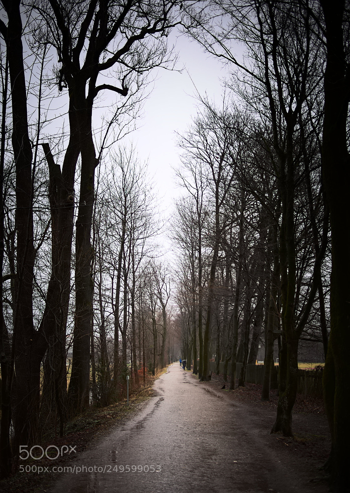 Olympus PEN E-PL5 sample photo. Along this dirt path photography