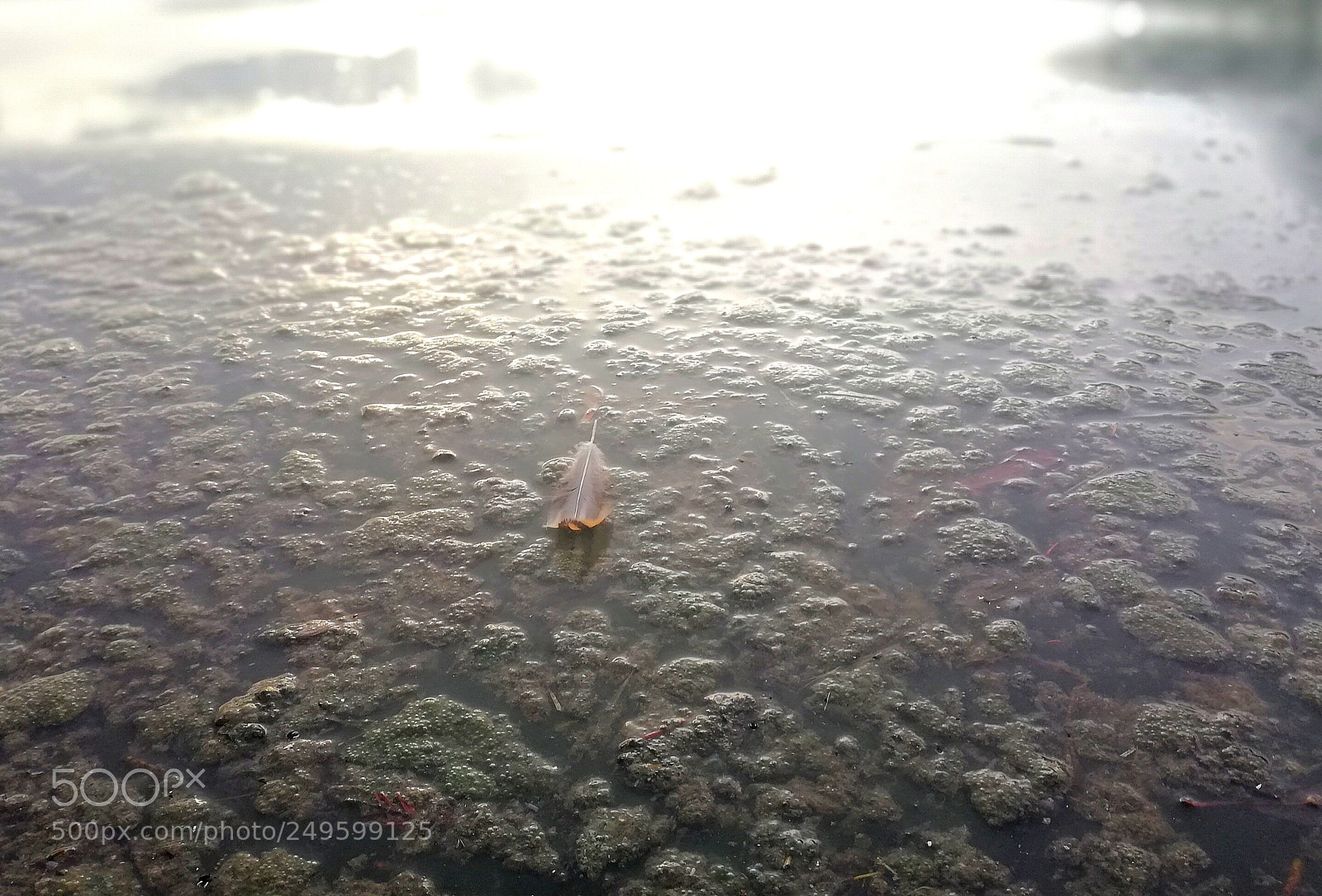 HUAWEI Mate 10 Lite sample photo. Untitled photography