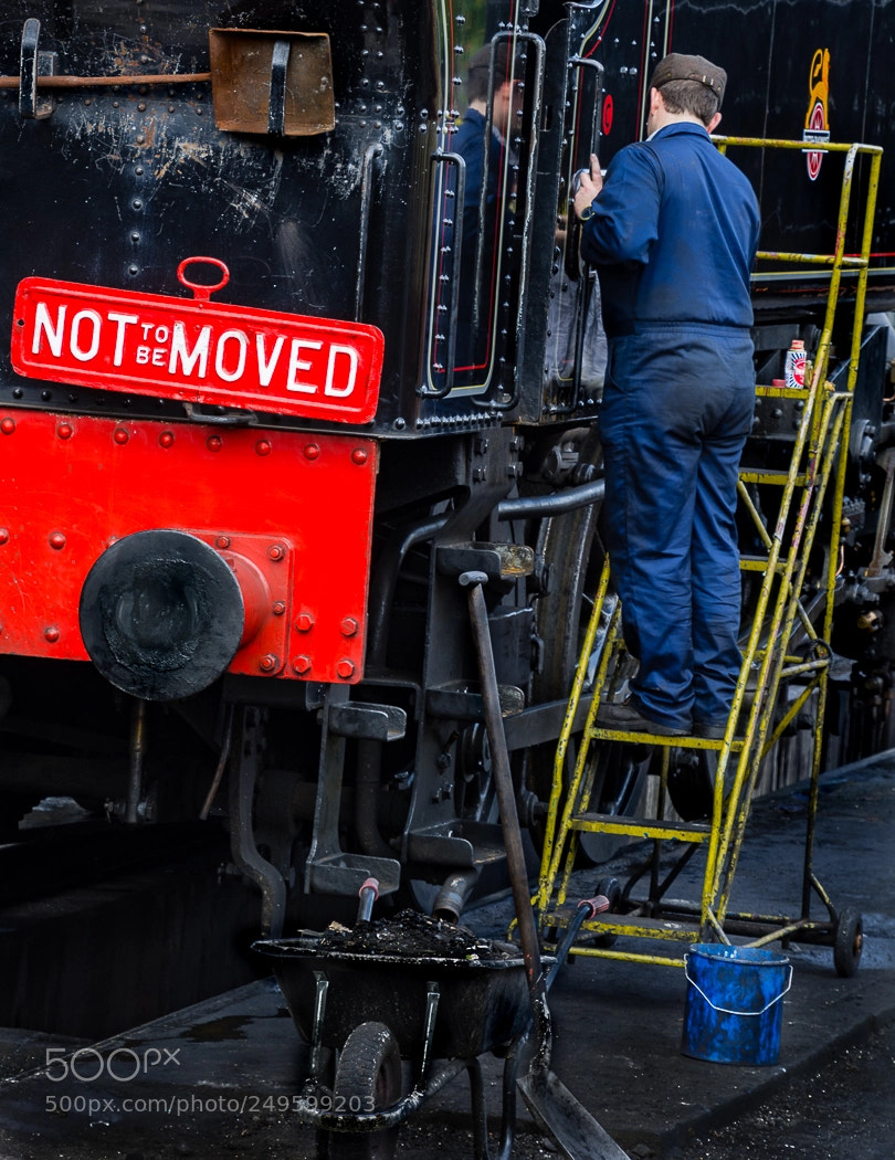 Nikon D7100 sample photo. Not to be moved photography