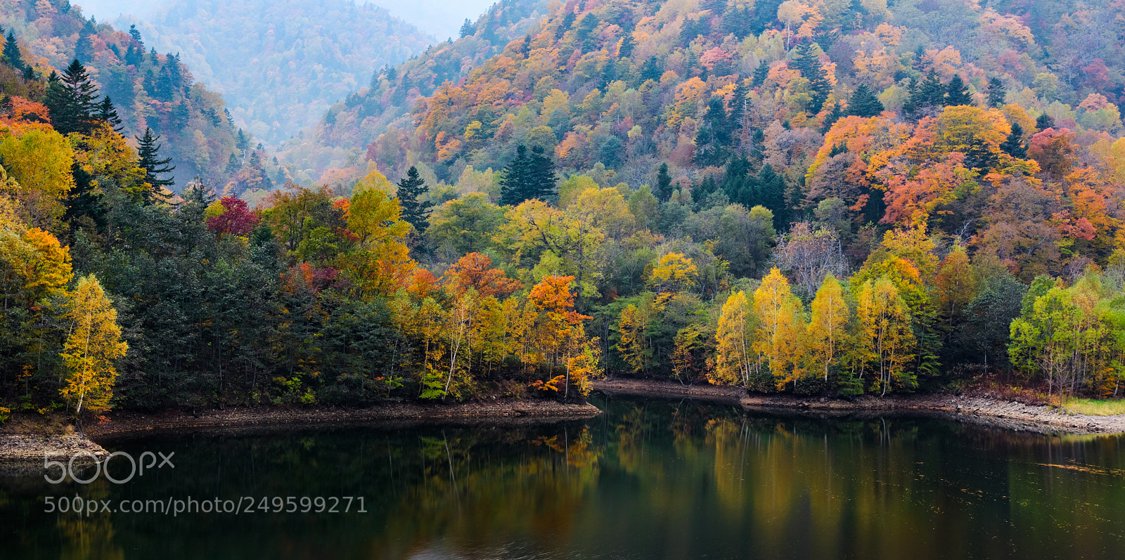 Canon EOS 7D Mark II sample photo. Scene of favorite season photography