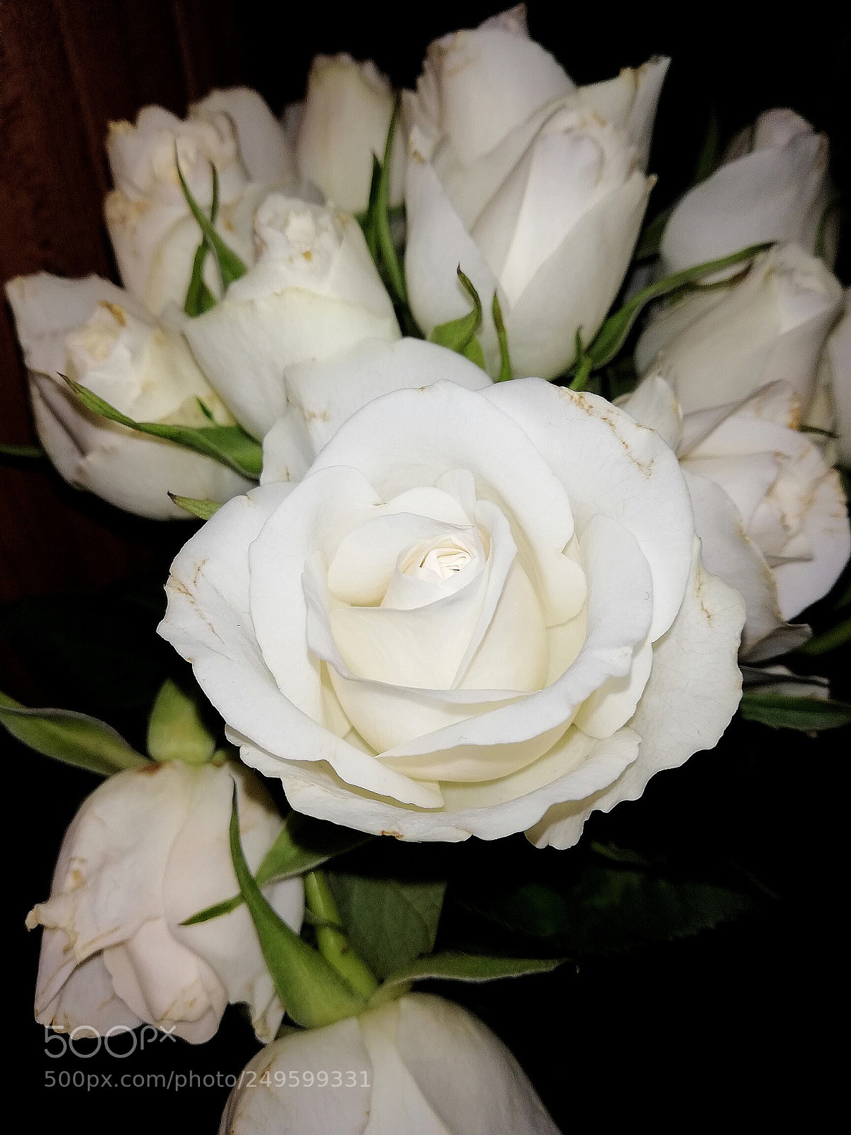 HUAWEI Mate 10 Lite sample photo. White rose photography