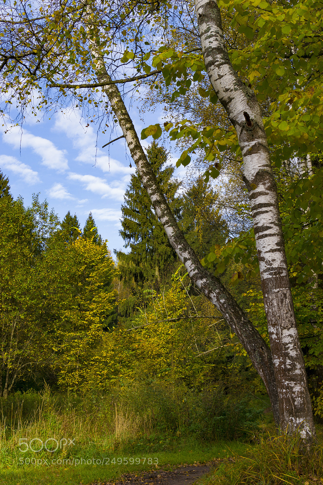 Nikon D3100 sample photo. Losiny ostrov photography