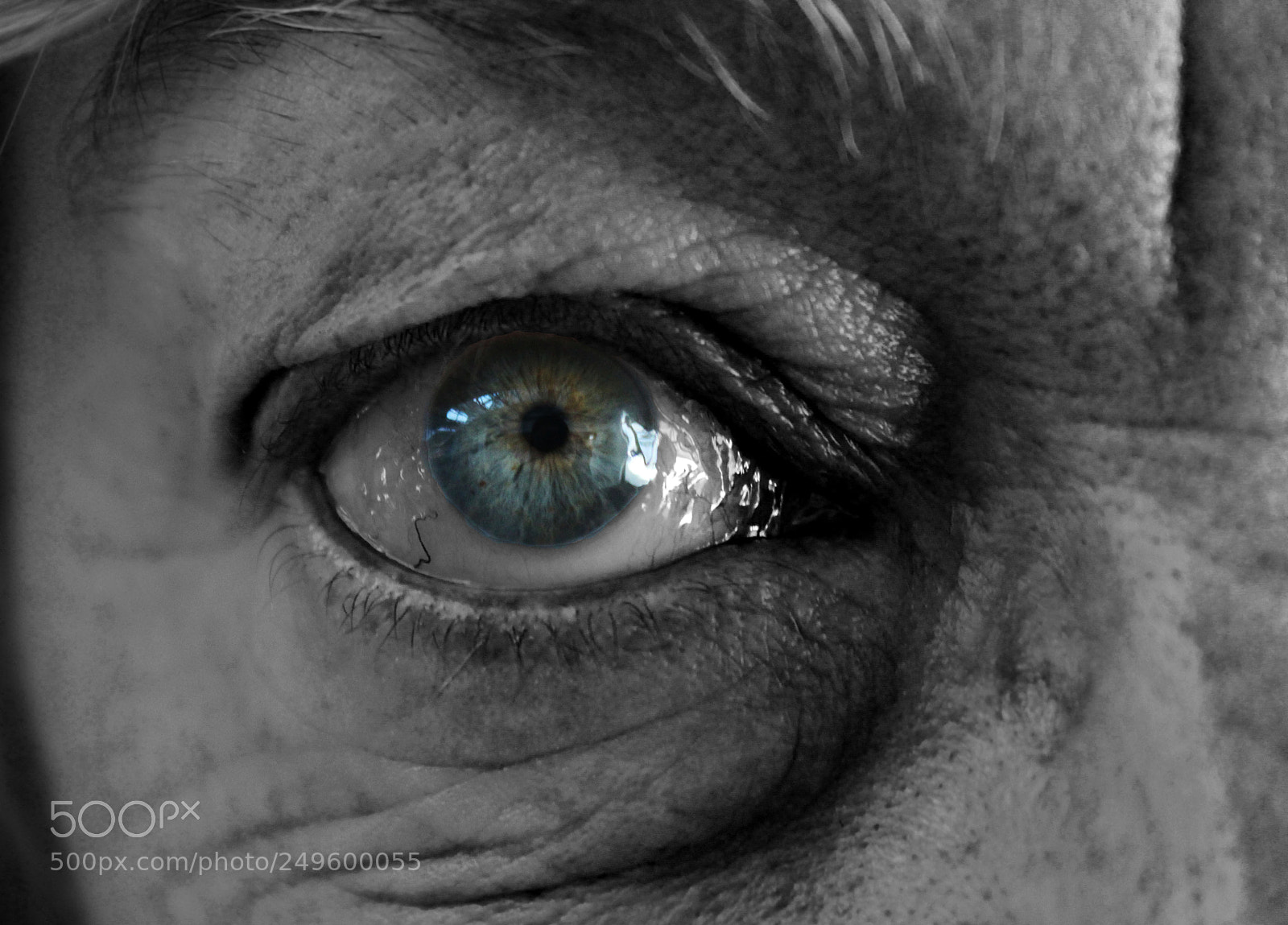 Canon EOS 650D (EOS Rebel T4i / EOS Kiss X6i) sample photo. Blue eye photography
