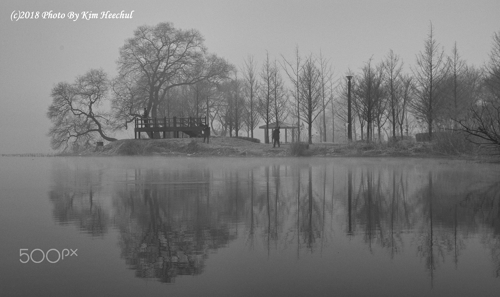 Nikon D500 sample photo. Reflection photography