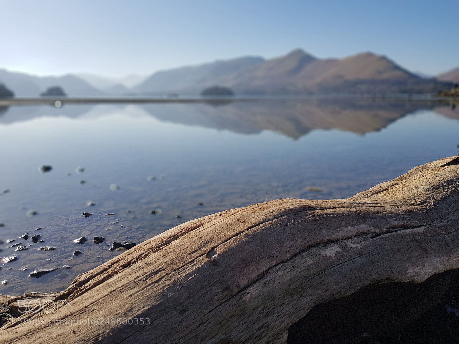 Samsung Galaxy S8+ sample photo. Timber photography