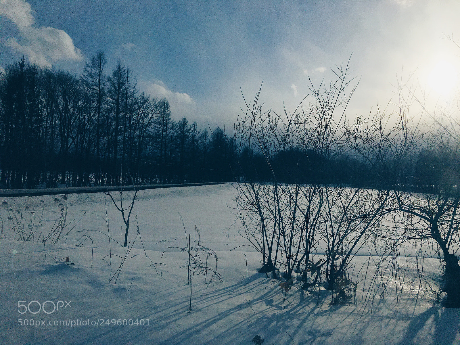 Apple iPhone sample photo. Ｈｏｋｋａｉｄｏ photography