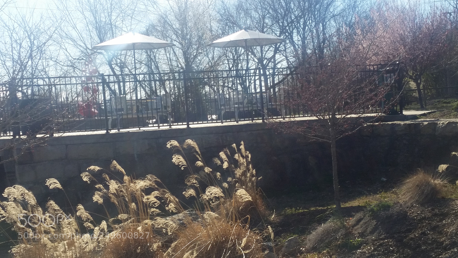 Samsung Galaxy S5 sample photo. Untitled photography