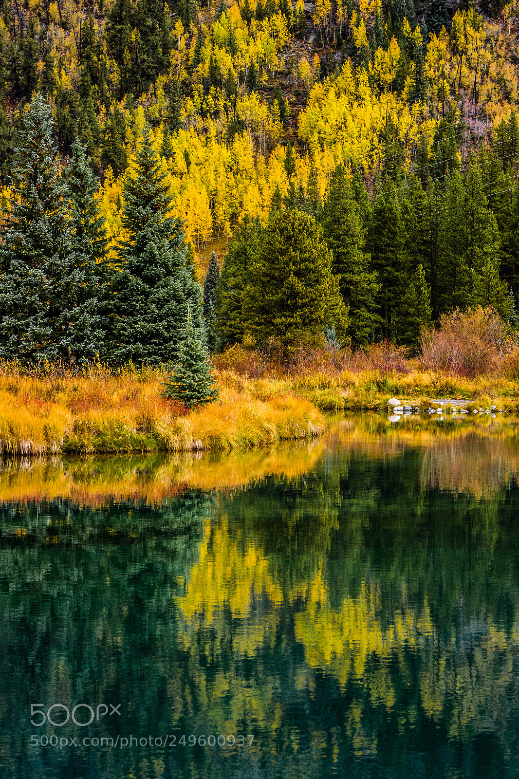 Canon EOS 60D sample photo. Autumn reflections photography