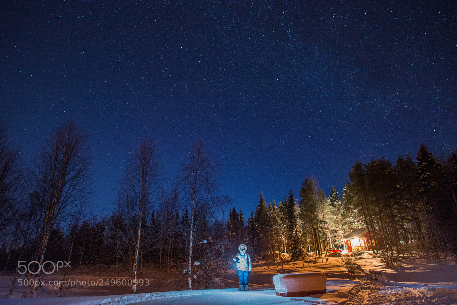 Nikon D800 sample photo. Lapland stars photography