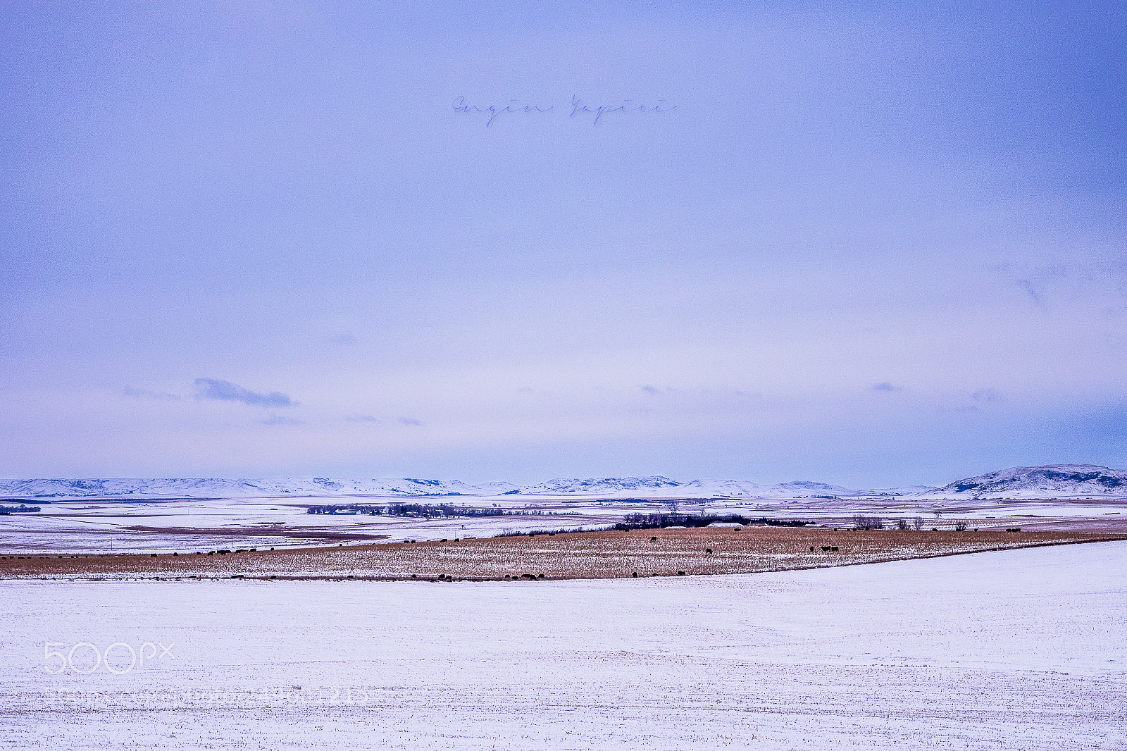 Nikon D3300 sample photo. Snowy fields photography