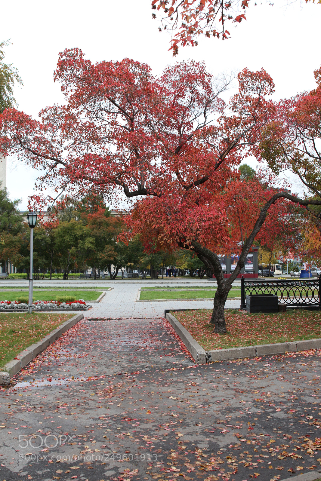 Canon EOS 650D (EOS Rebel T4i / EOS Kiss X6i) sample photo. Img photography
