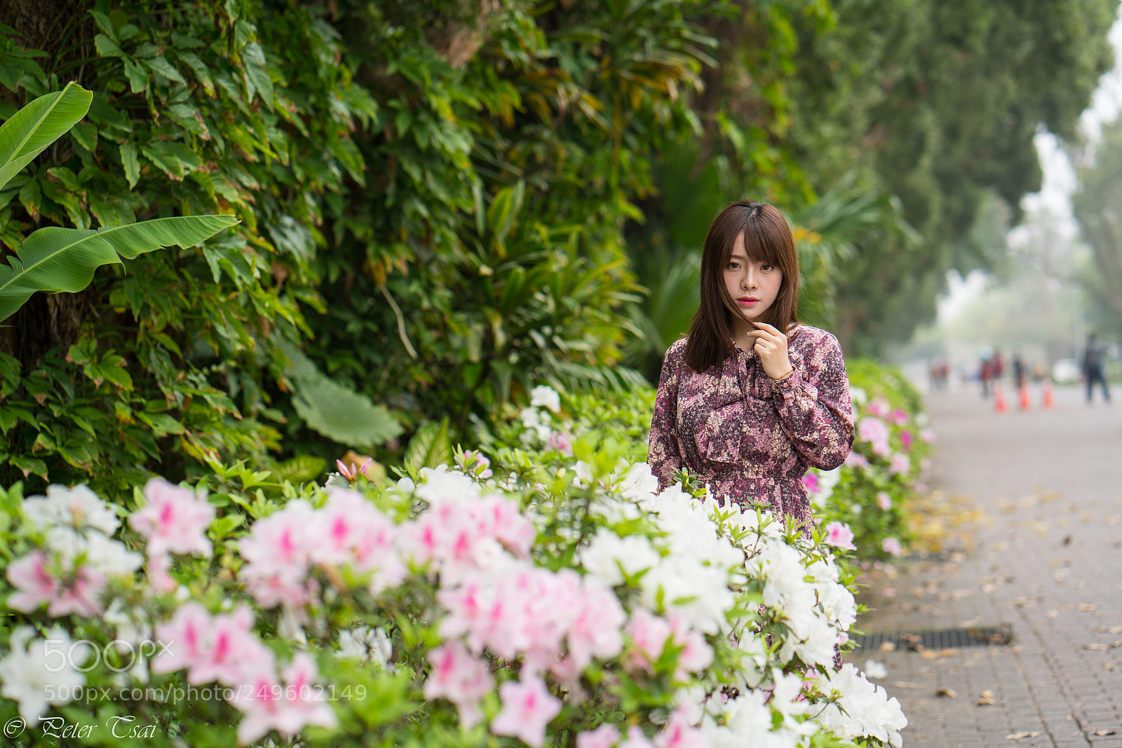 Sony a7R III sample photo. 林若恩 photography