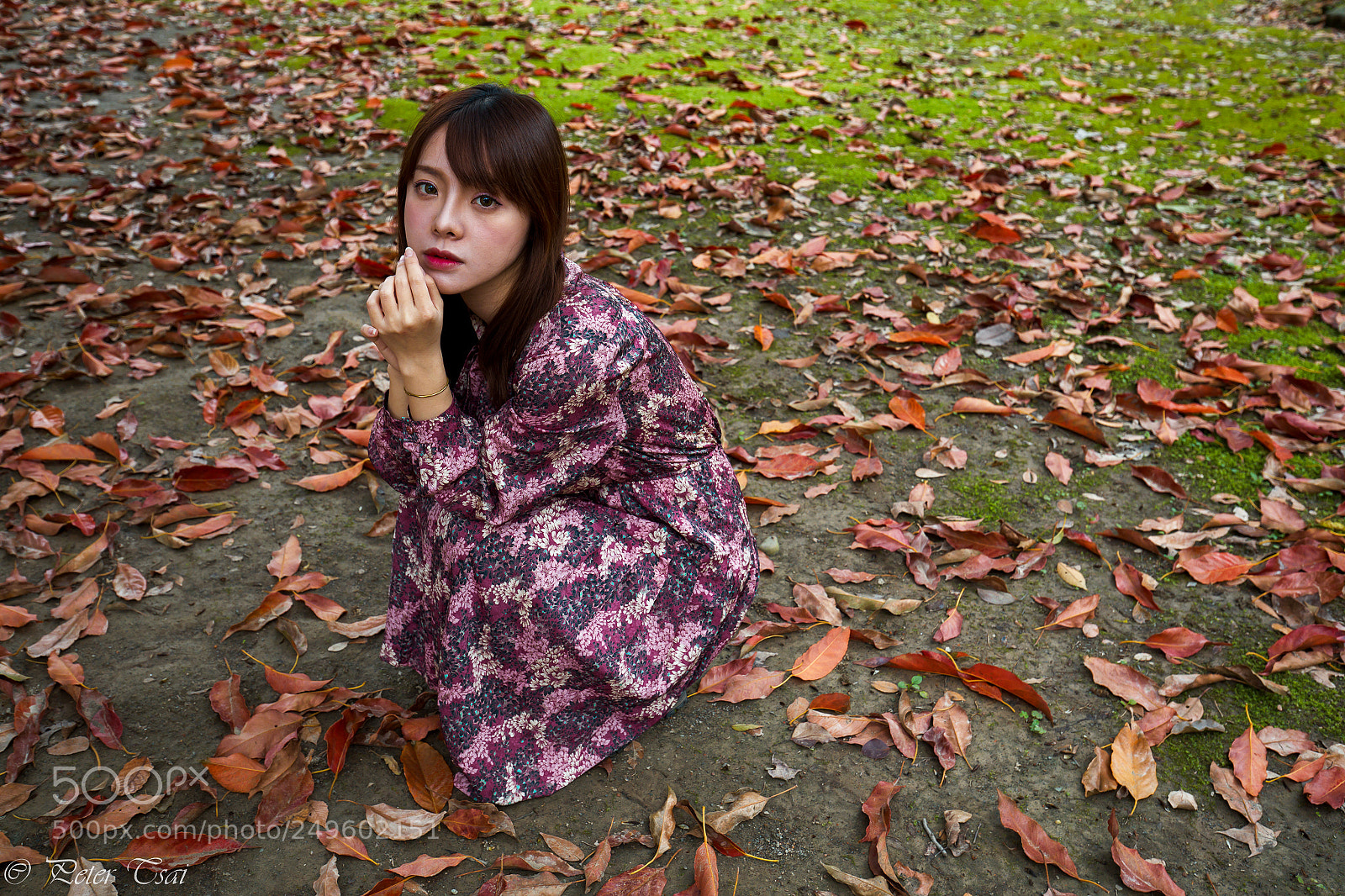 Canon EOS 5D Mark IV sample photo. 林若恩 photography
