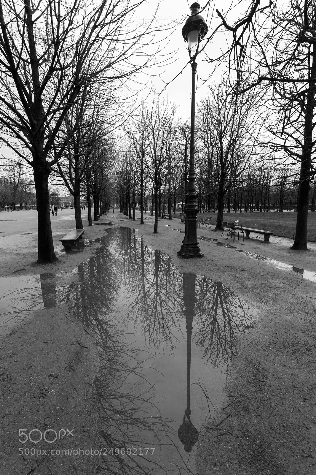 Canon EOS 5D Mark IV sample photo. Jardin de tuileries photography