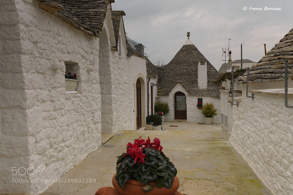 Nikon D610 sample photo. Alberobello trulli photography