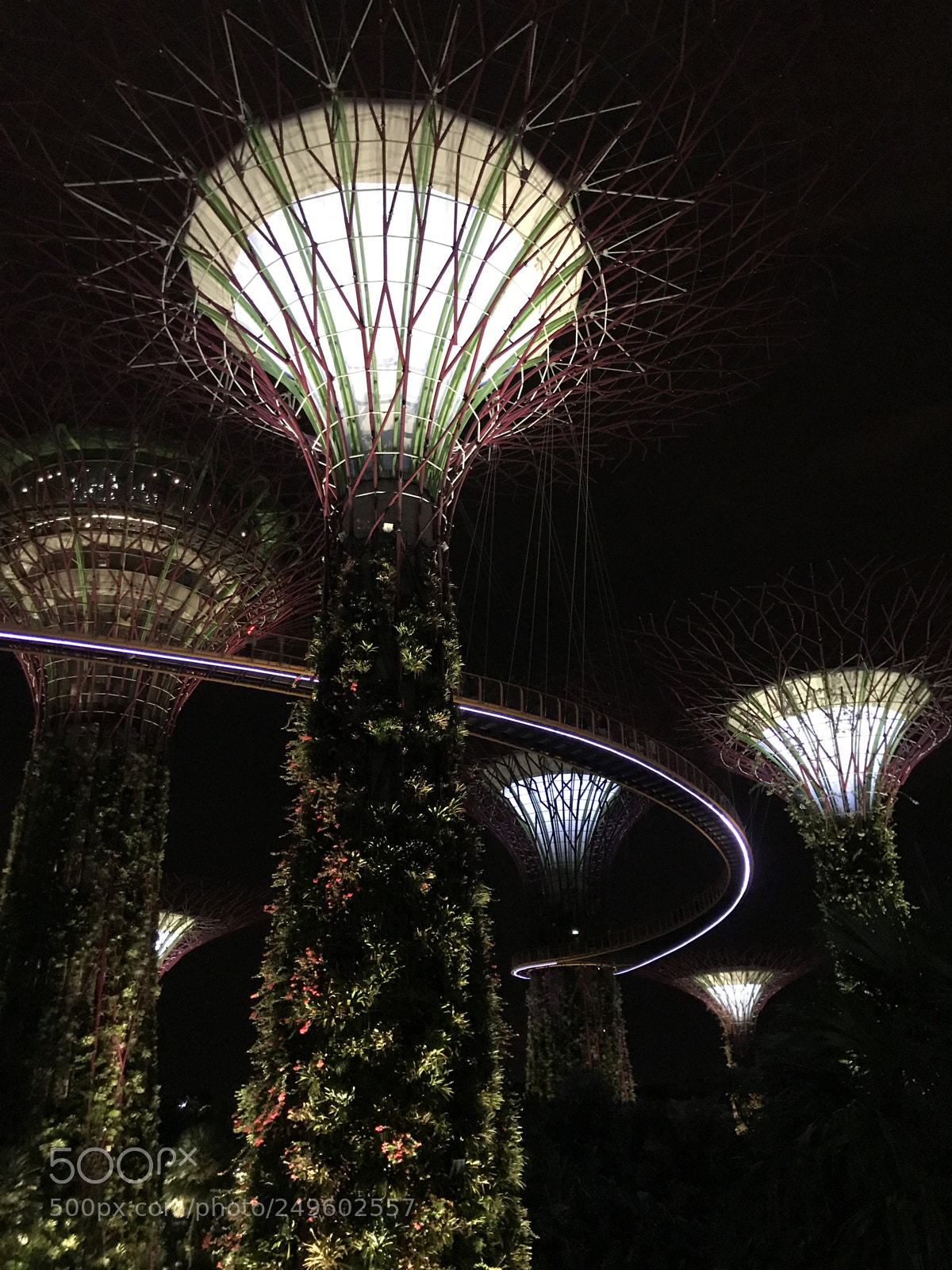 Apple iPhone 7 sample photo. Gardens by the bay photography