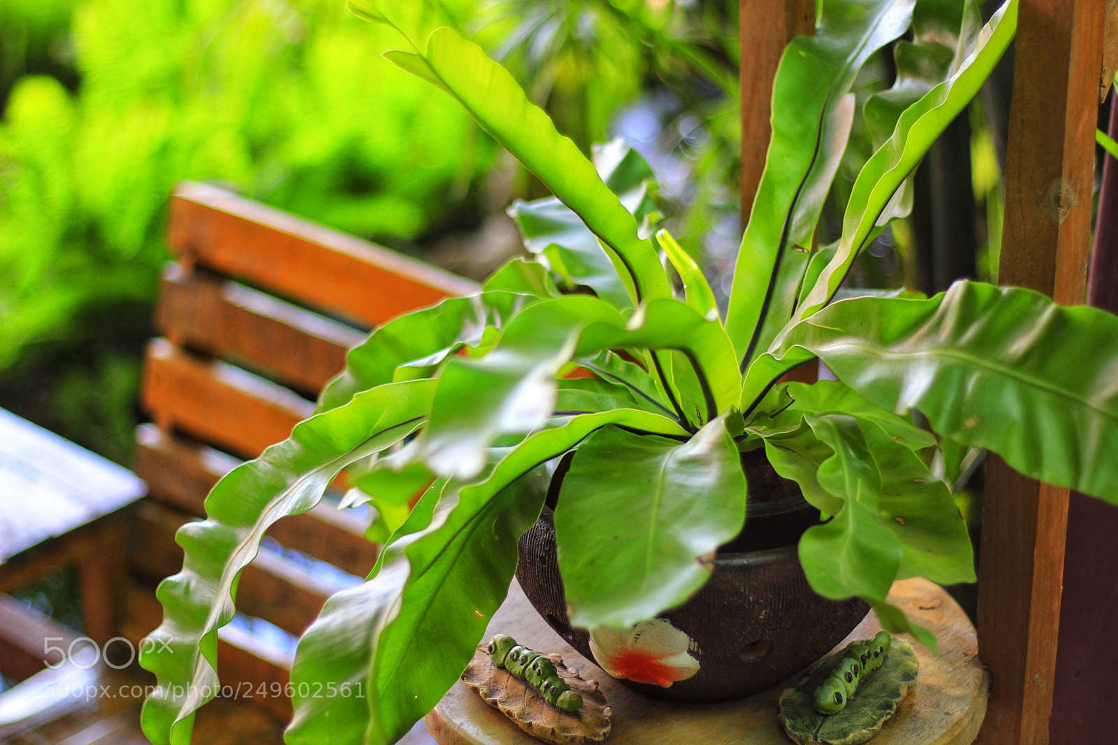 Canon EOS 60D sample photo. Untitled photography
