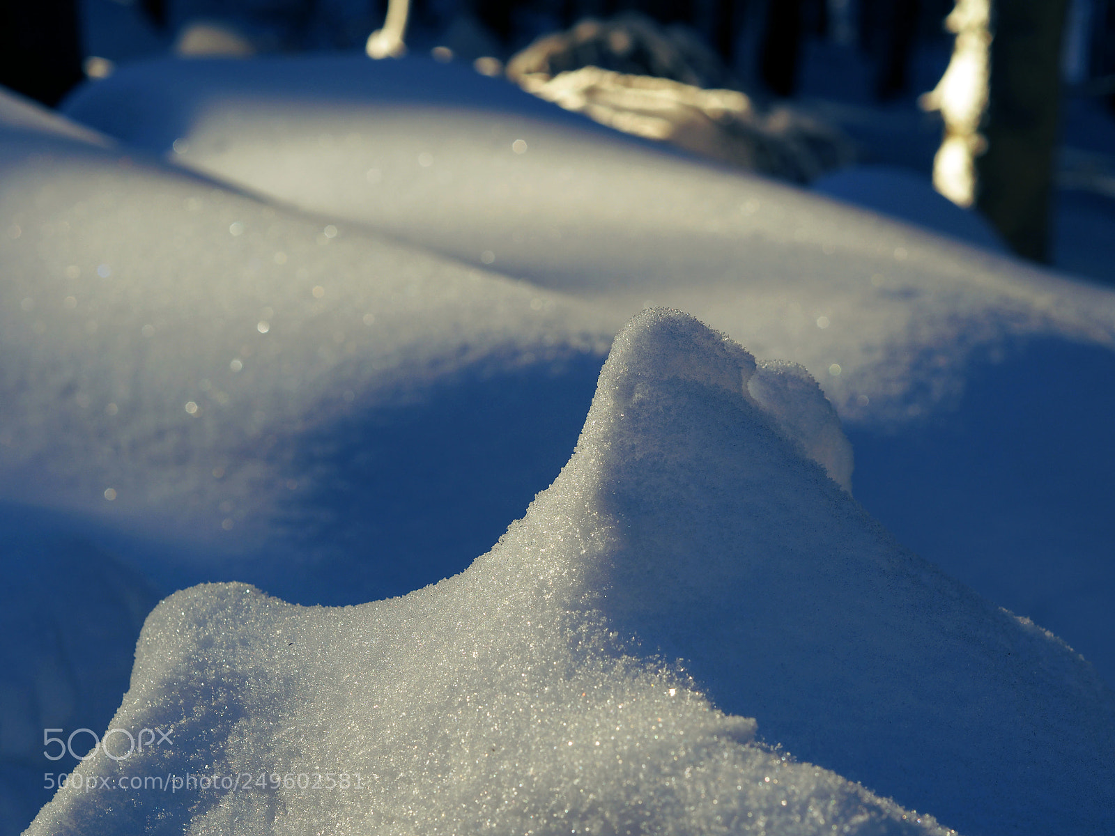 Olympus OM-D E-M10 sample photo. Endless winter photography