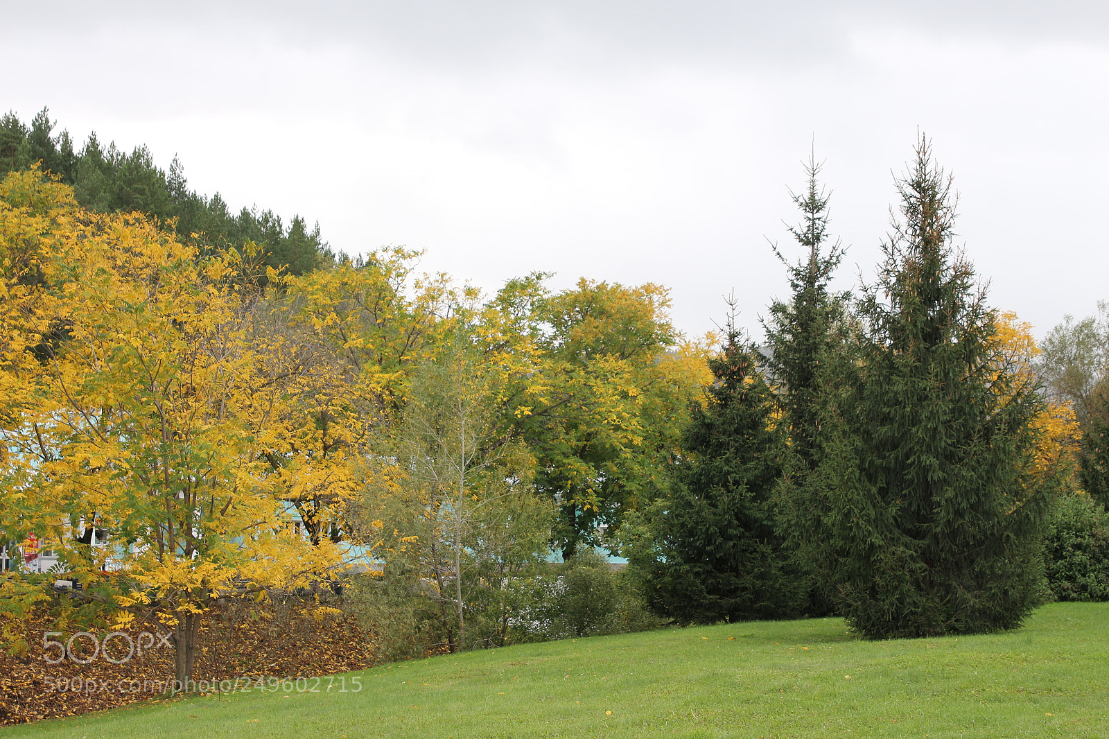 Canon EOS 650D (EOS Rebel T4i / EOS Kiss X6i) sample photo. Img photography