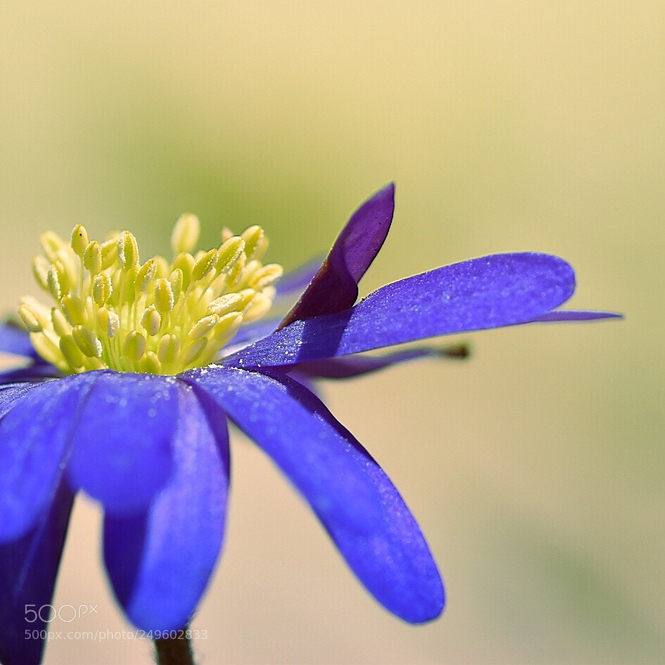 Nikon D5600 sample photo. Untitled photography